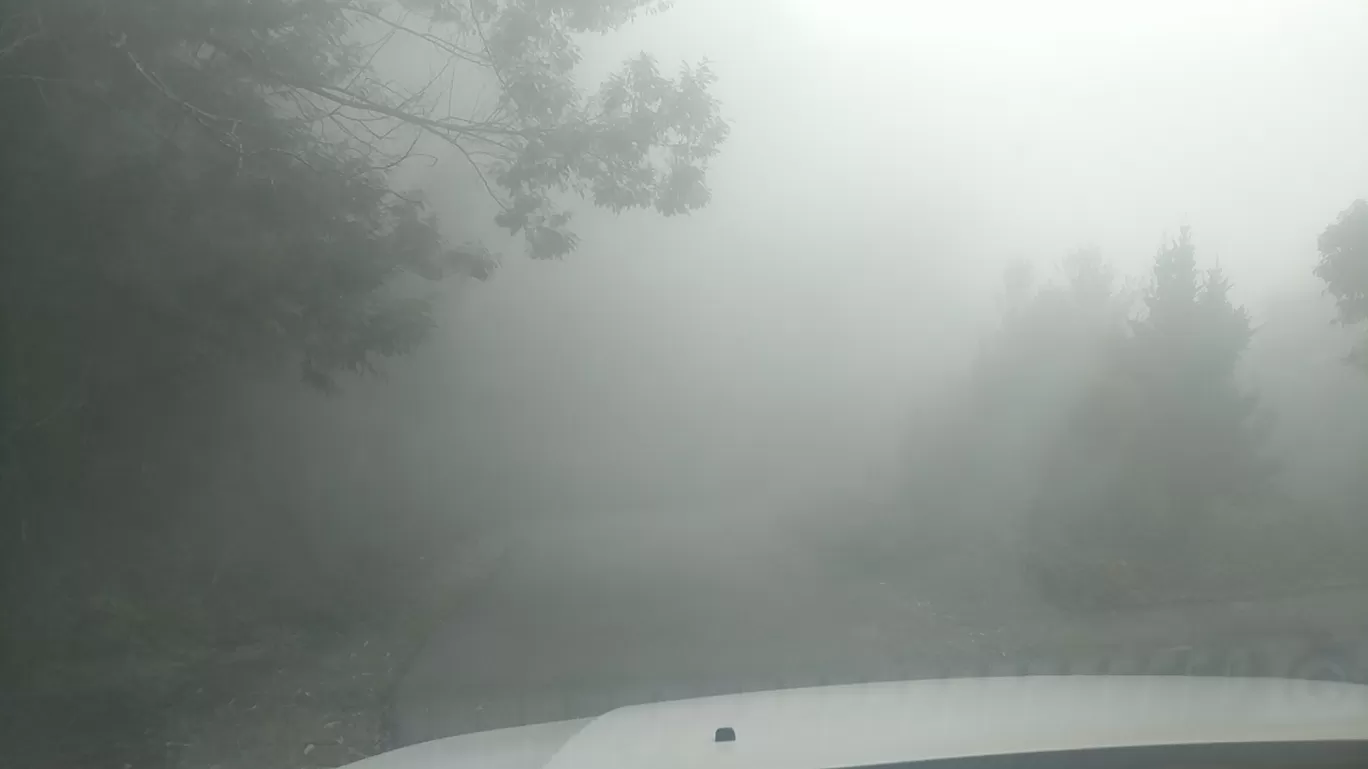 Photo of Kodaikanal By Raja Vignesh