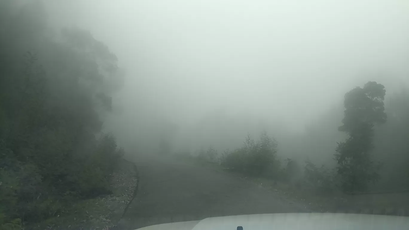 Photo of Kodaikanal By Raja Vignesh
