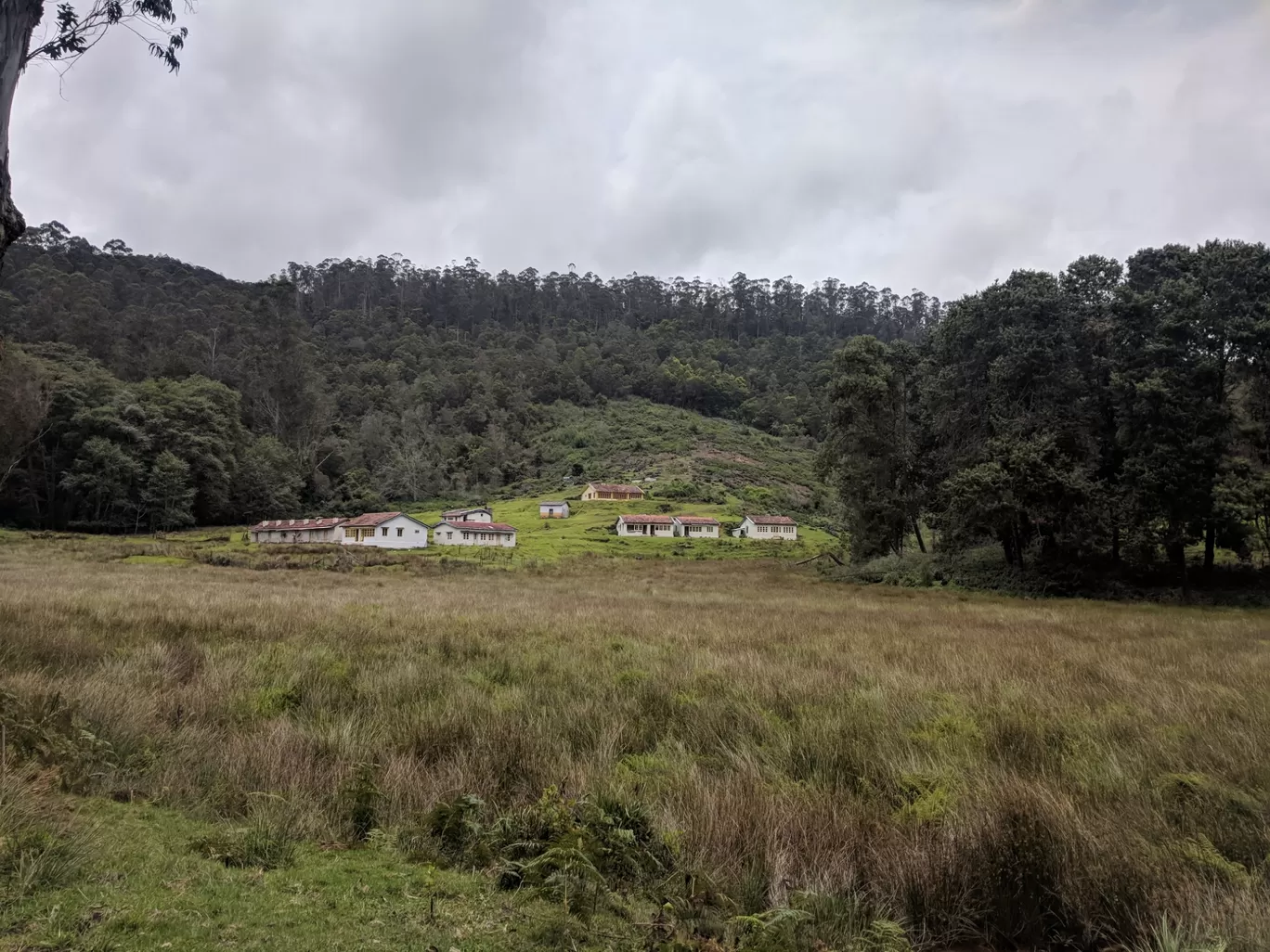 Photo of Kodaikanal By Raja Vignesh