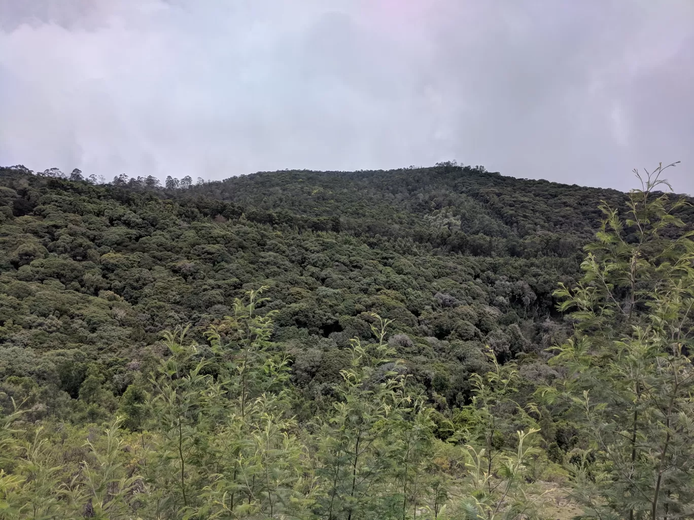 Photo of Kodaikanal By Raja Vignesh