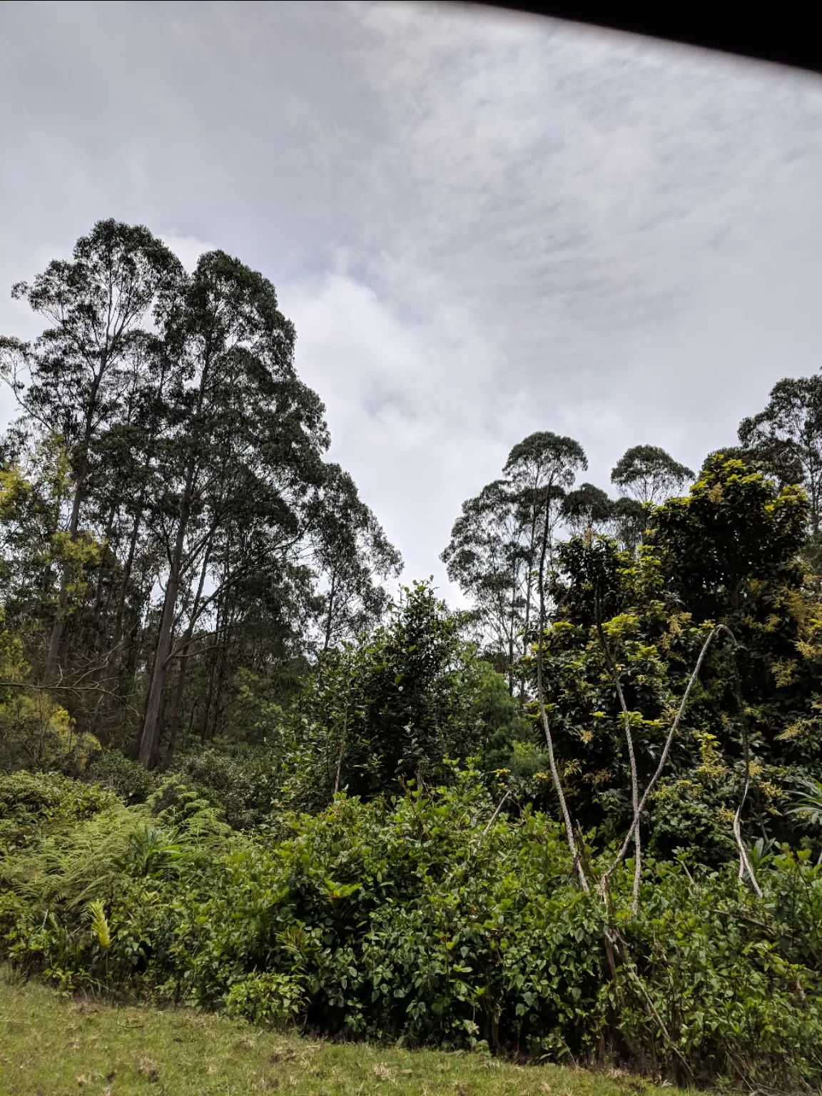 Photo of Kodaikanal By Raja Vignesh
