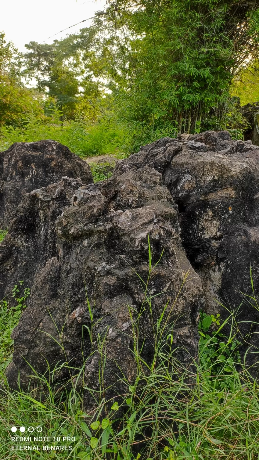 Photo of Sonbhadra By Rohit Verma