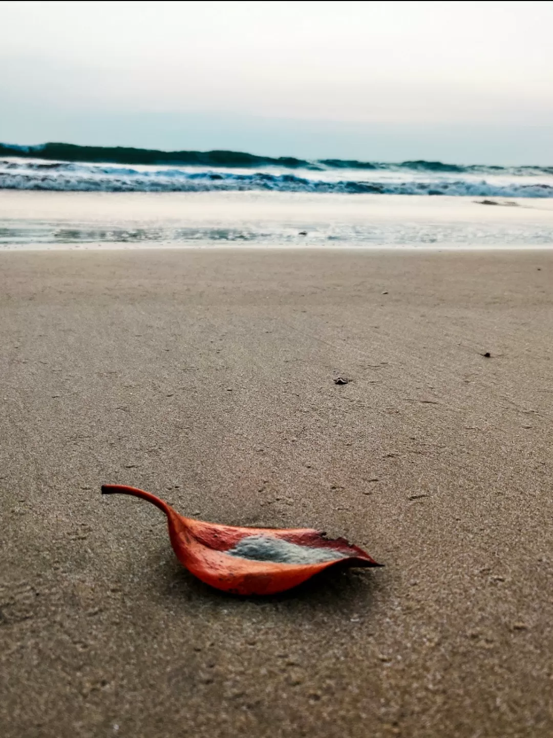 Photo of Galgibag Beach By The HodoPillais