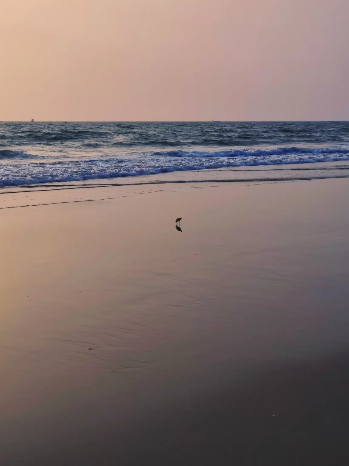 Photo of Benaulim Beach By The HodoPillais