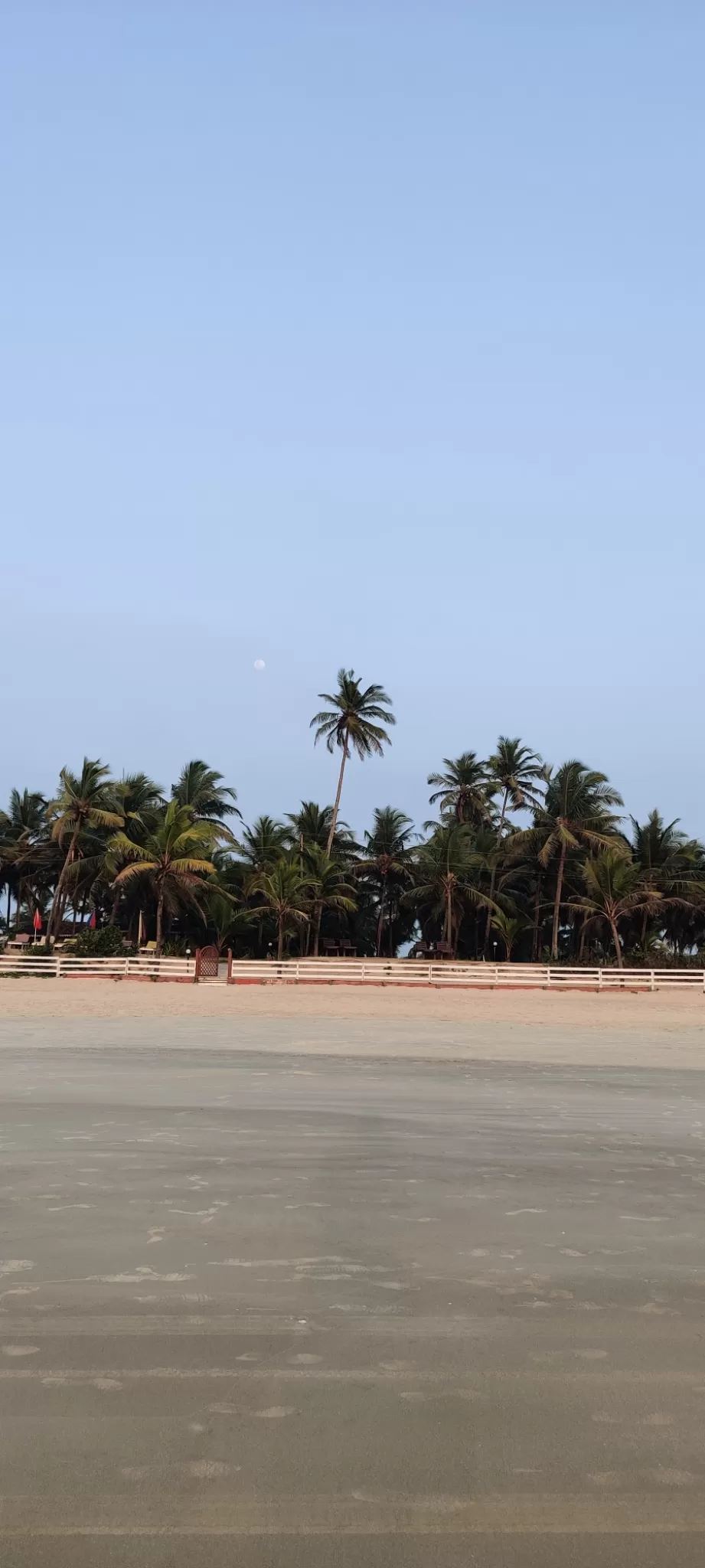 Photo of Benaulim Beach By The HodoPillais