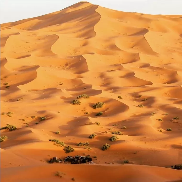Photo of Marrakech By Abraham Tours