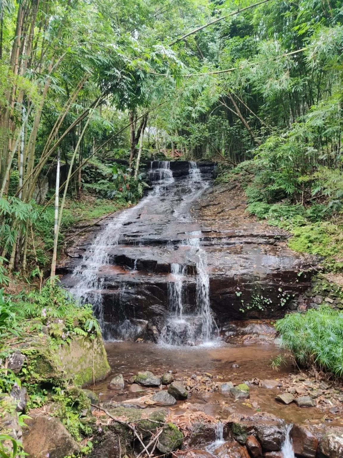 Photo of The Tamara Coorg By Riyanka Roy