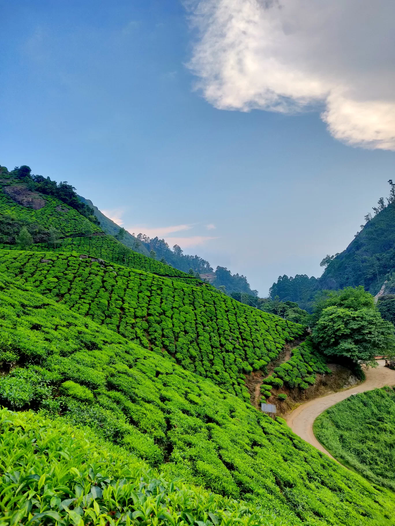 Photo of Munnar By Riyanka Roy