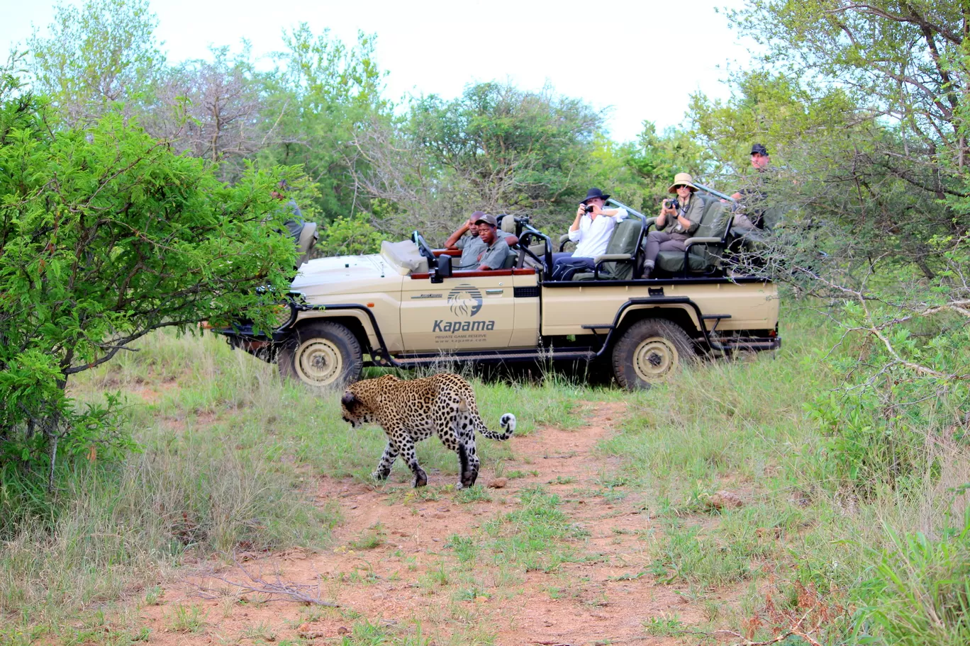 Photo of Kruger National Park By Riyanka Roy