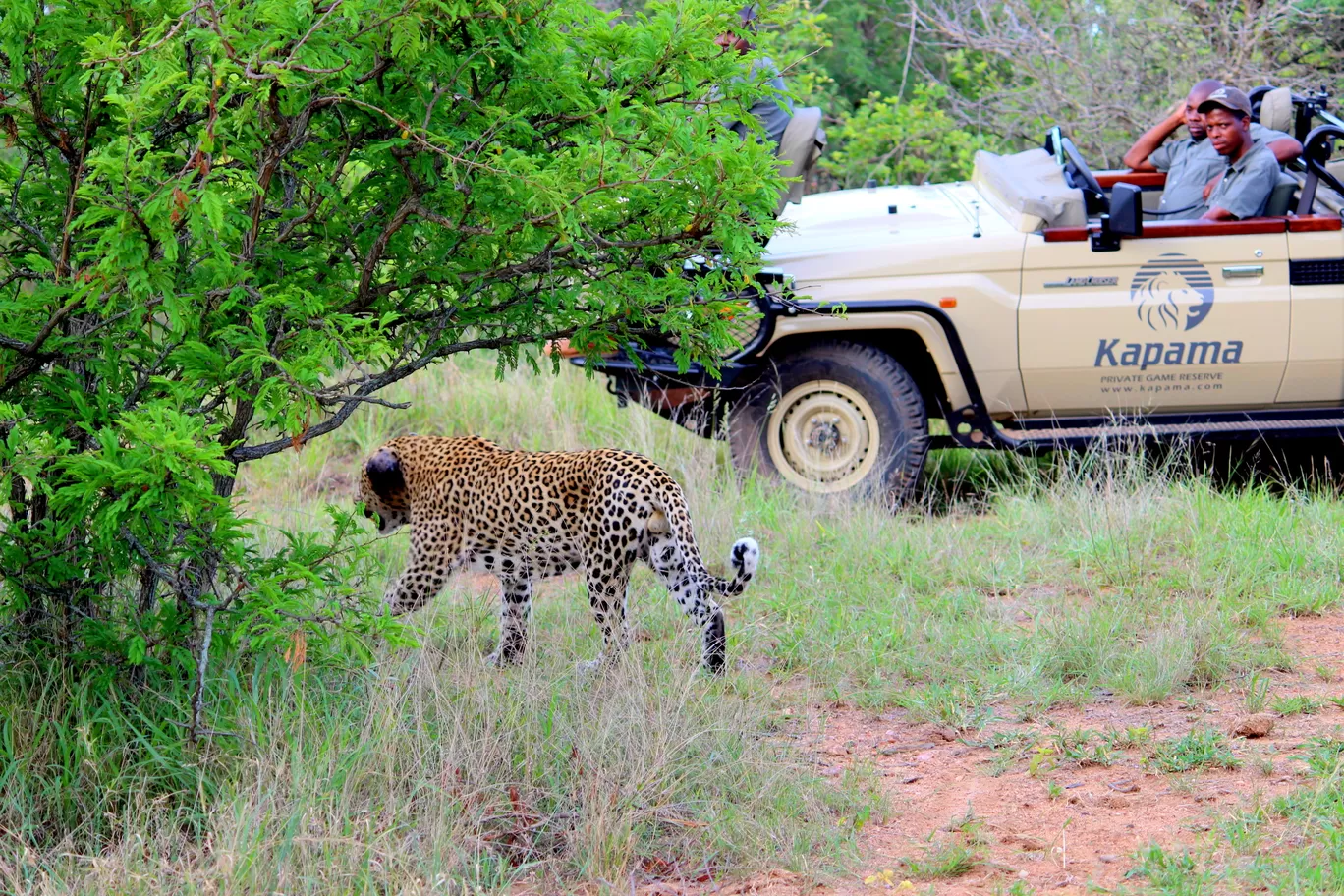 Photo of Kruger National Park By Riyanka Roy