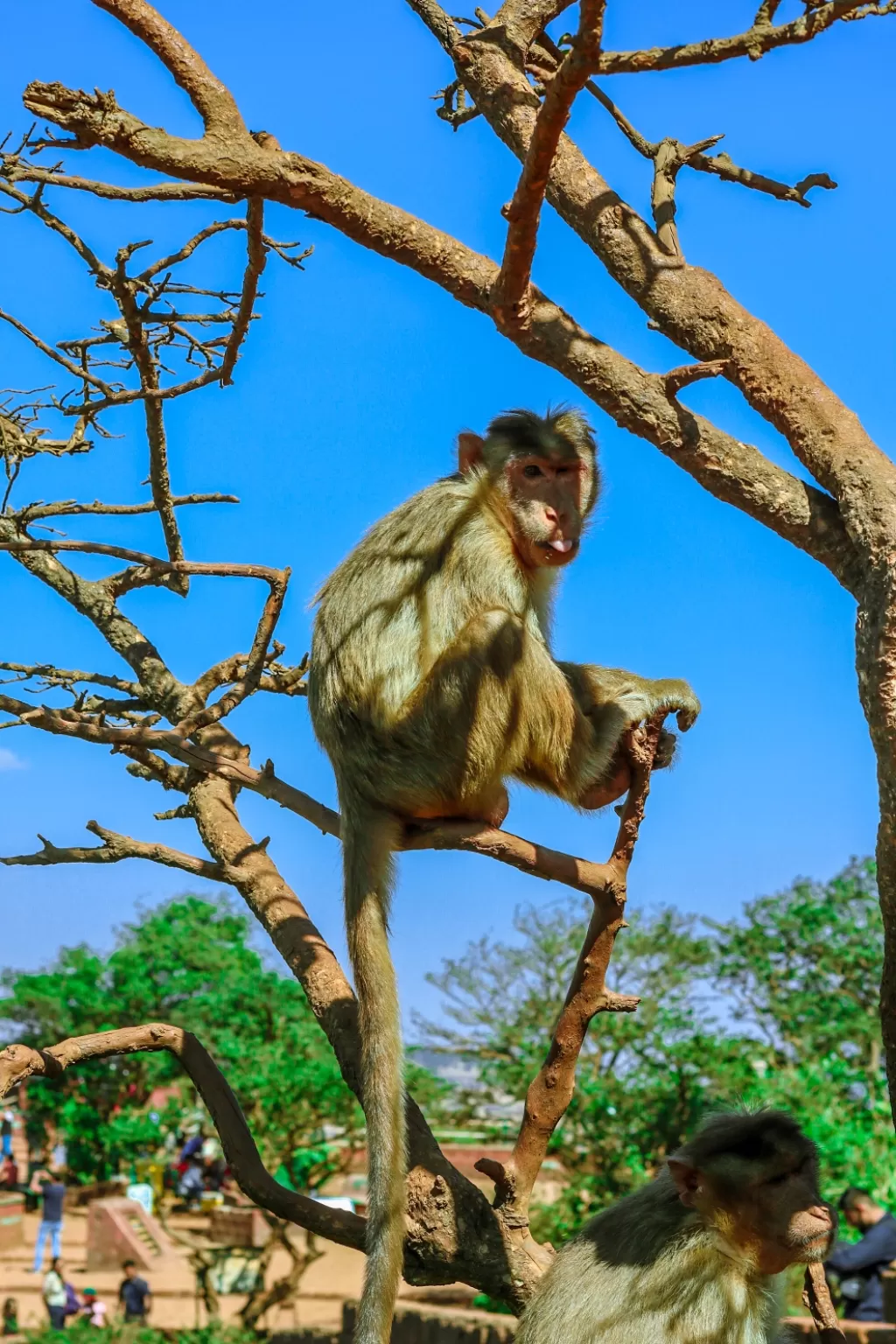 Photo of Mahabaleshwar By Pallavi Pratap Singh