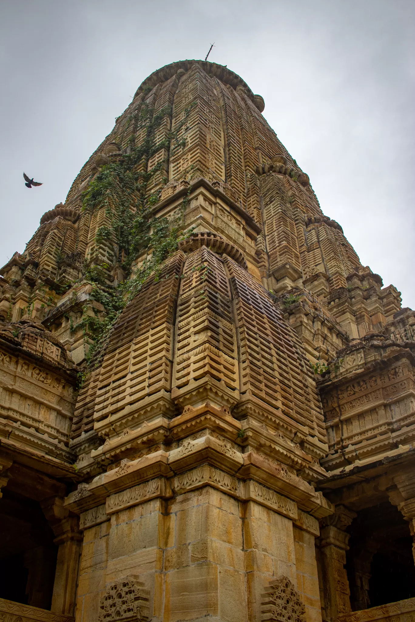 Photo of Chittorgarh By Prakhar Patsariya