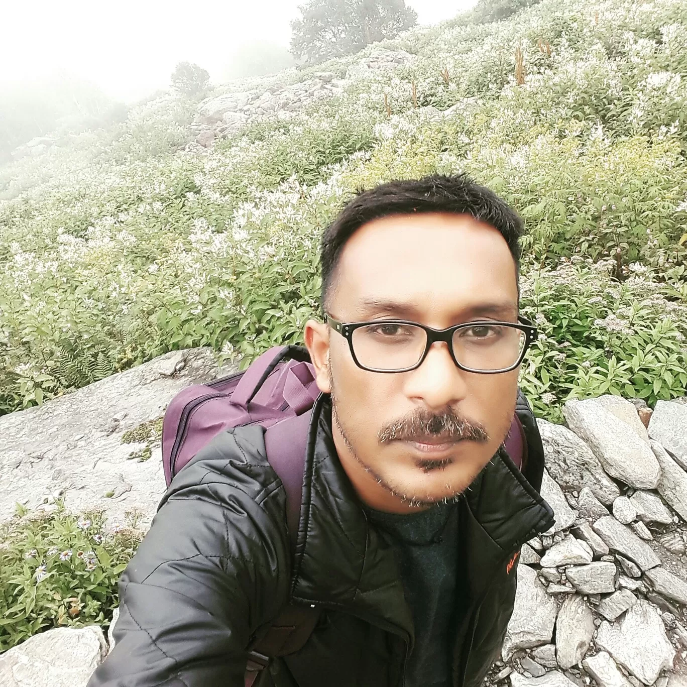 Photo of Valley of Flowers National Park By Bikash Rajkonwar