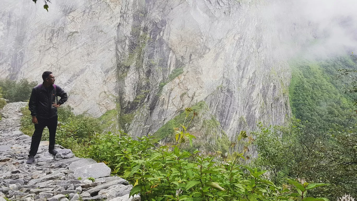 Photo of Valley of Flowers National Park By Bikash Rajkonwar