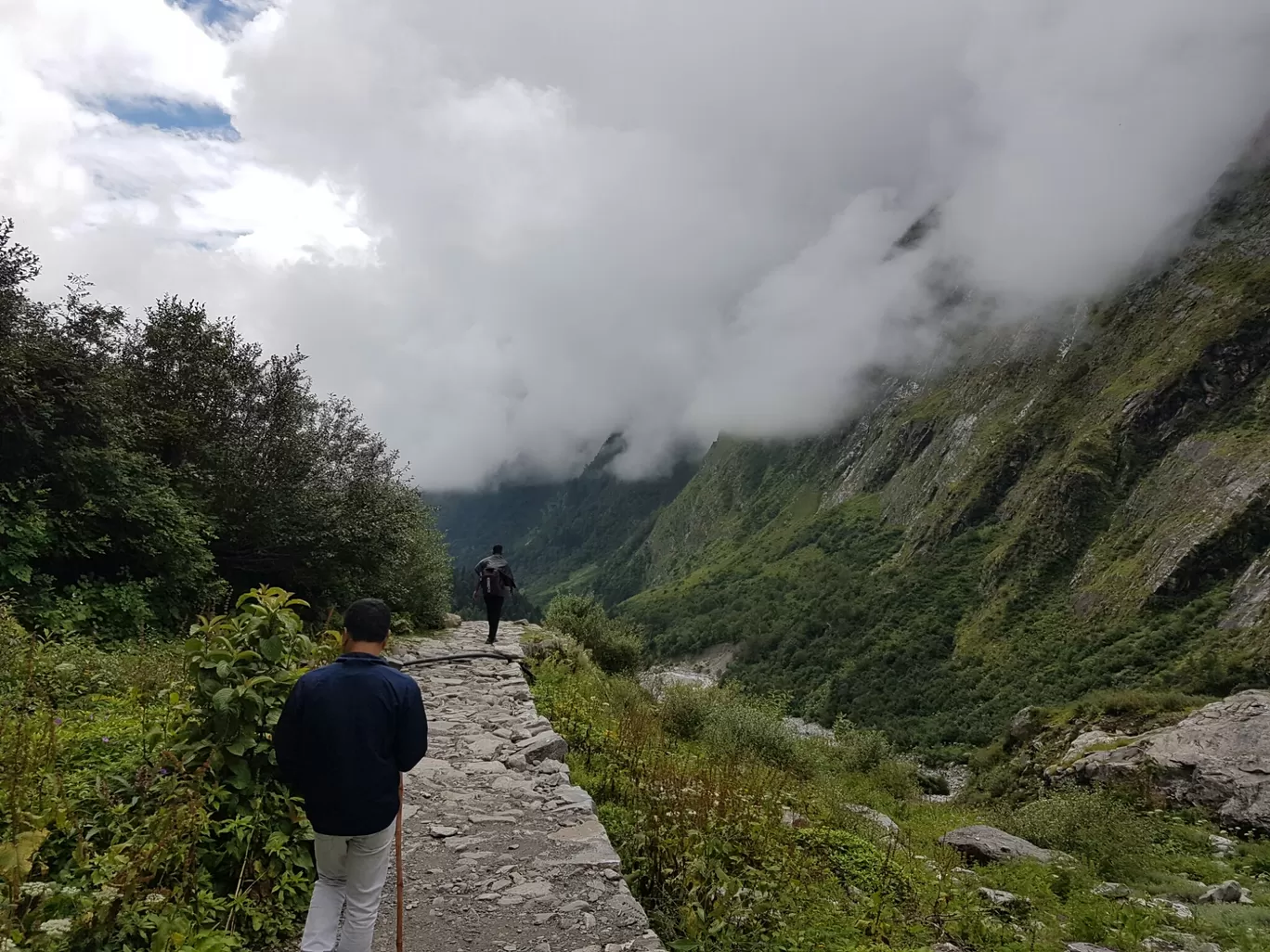 Photo of Valley of Flowers National Park By Bikash Rajkonwar