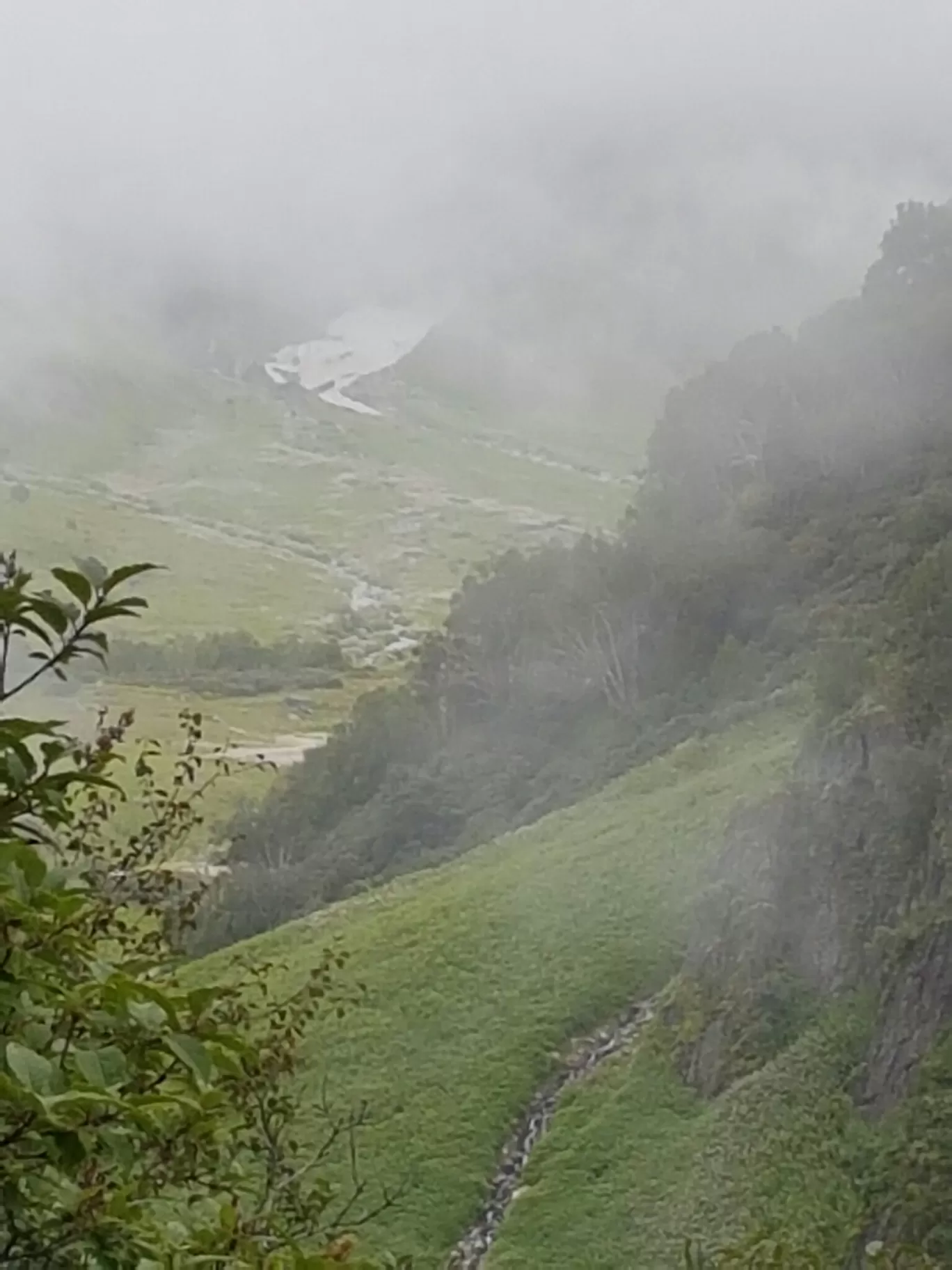 Photo of Valley of Flowers National Park By Bikash Rajkonwar