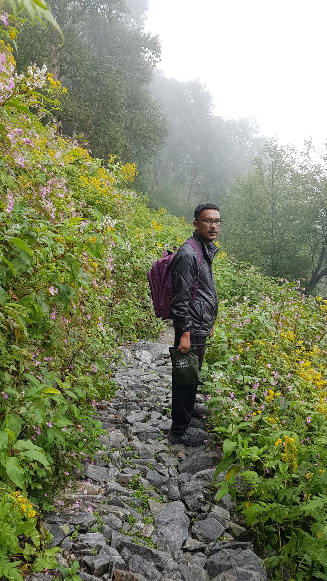 Photo of Valley of Flowers National Park By Bikash Rajkonwar