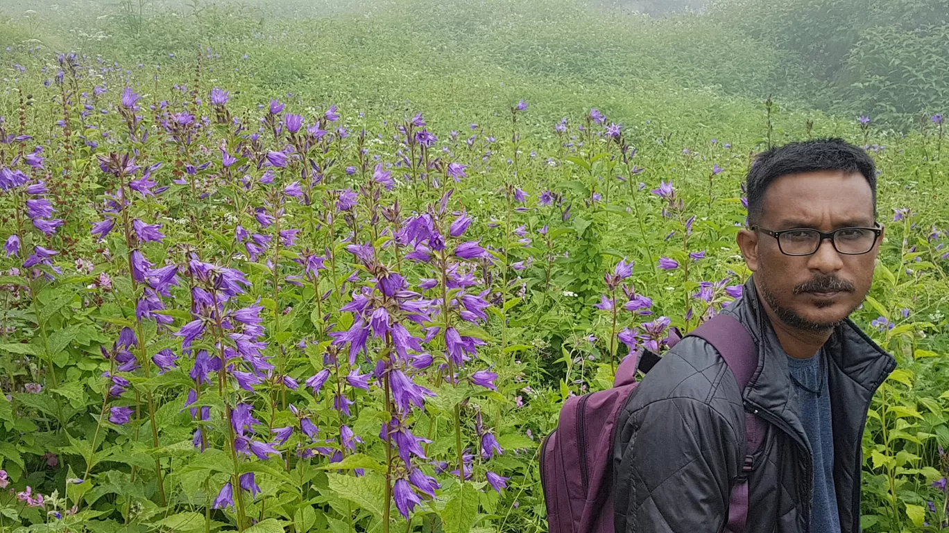 Photo of Valley of Flowers National Park By Bikash Rajkonwar
