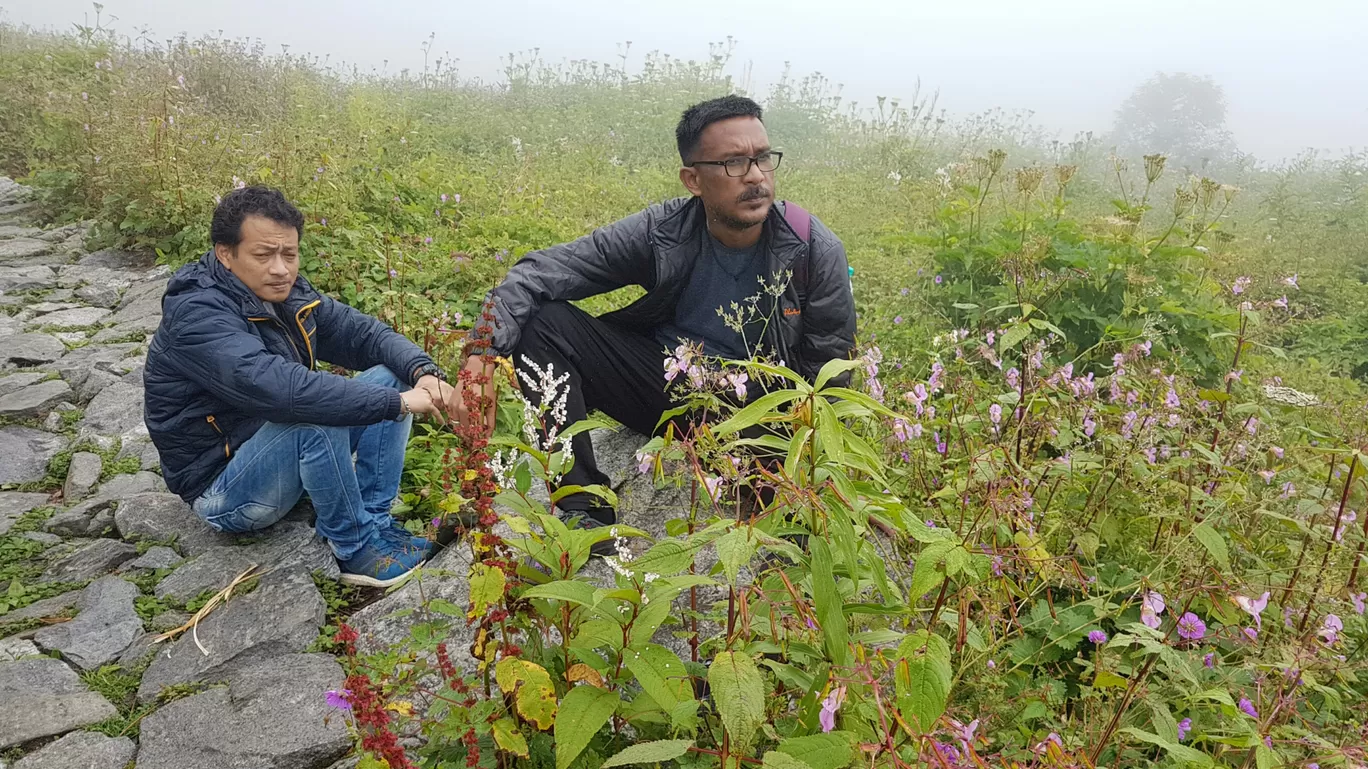 Photo of Valley of Flowers National Park By Bikash Rajkonwar