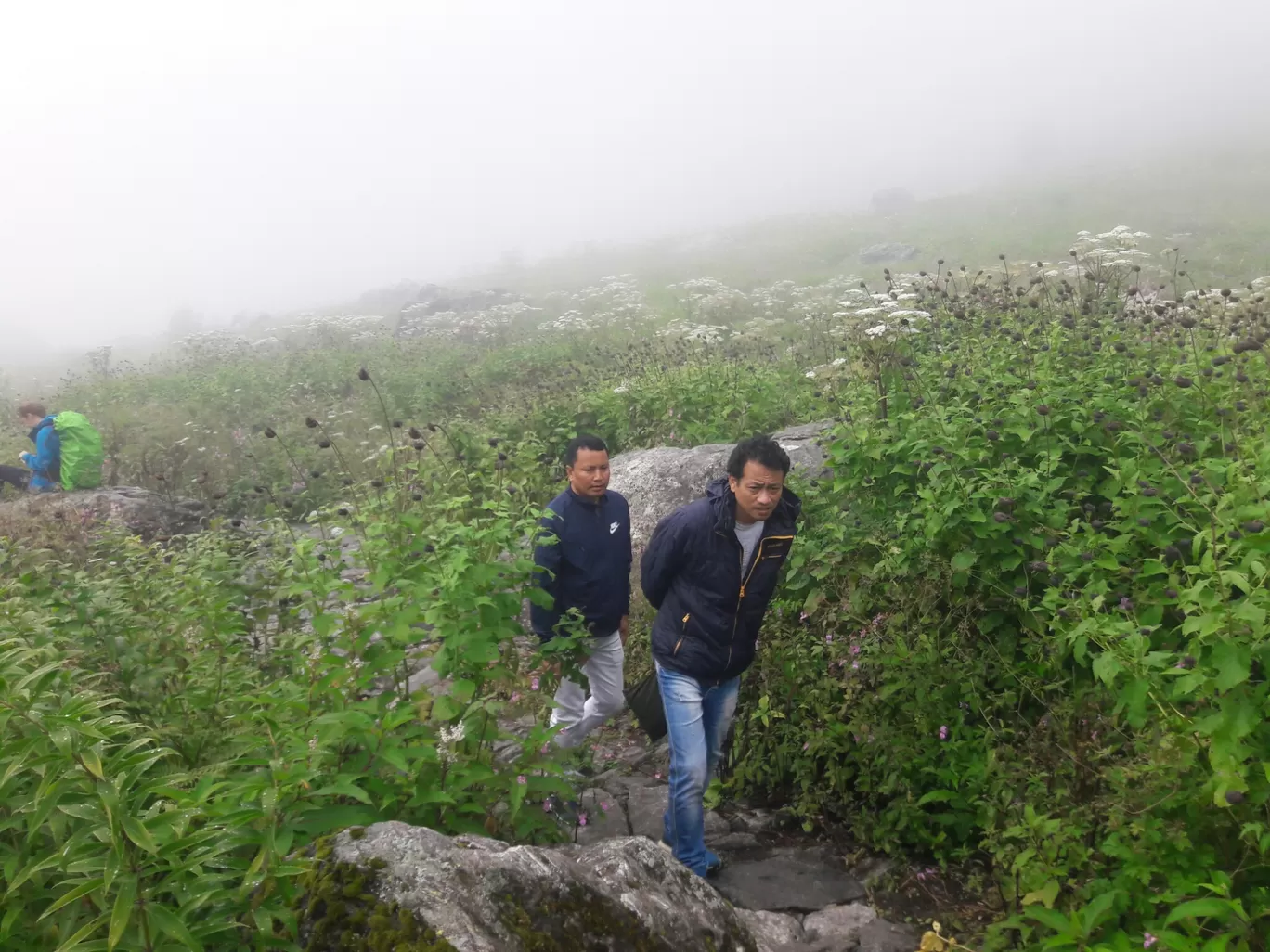 Photo of Valley of Flowers National Park By Bikash Rajkonwar