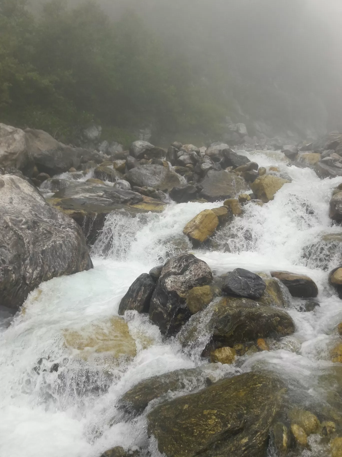 Photo of Valley of Flowers National Park By Bikash Rajkonwar