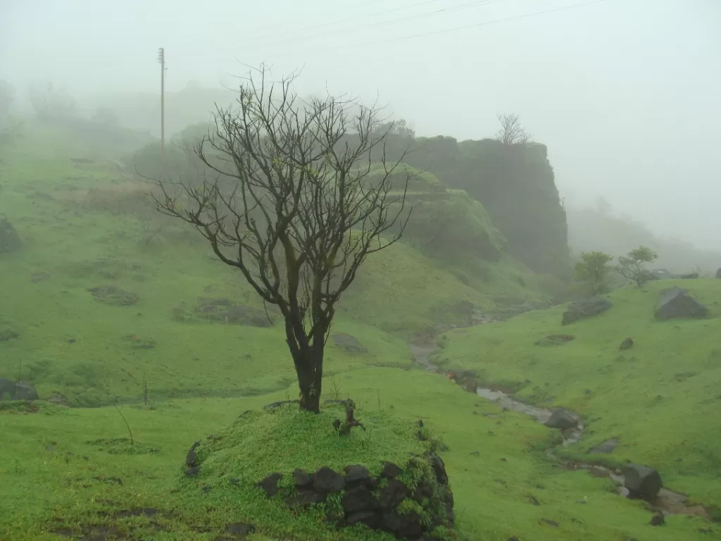 Photo of Raigad Fort By Hrishikesh Nalgirkar