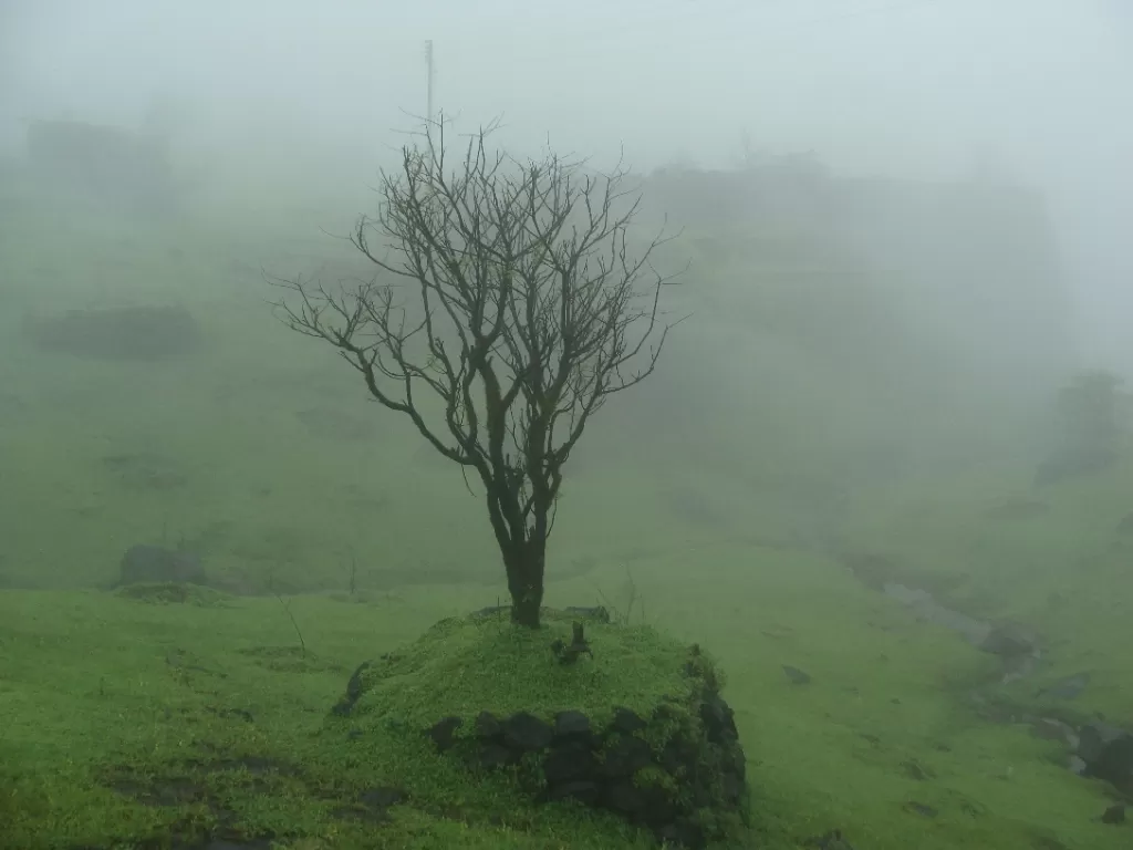 Photo of Raigad Fort By Hrishikesh Nalgirkar