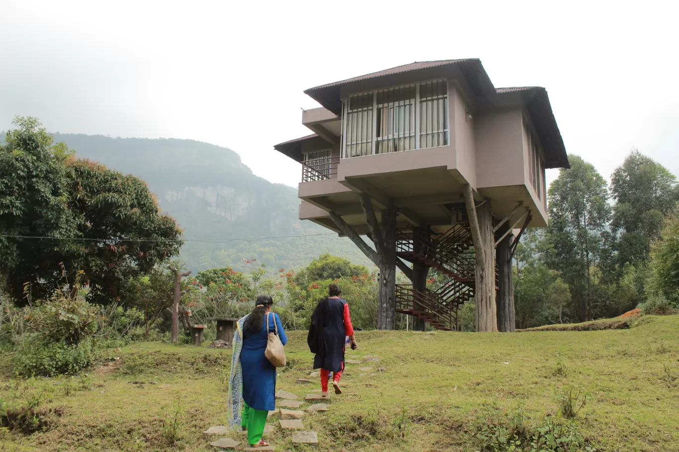 Photo of Tree Hut By jose raphael