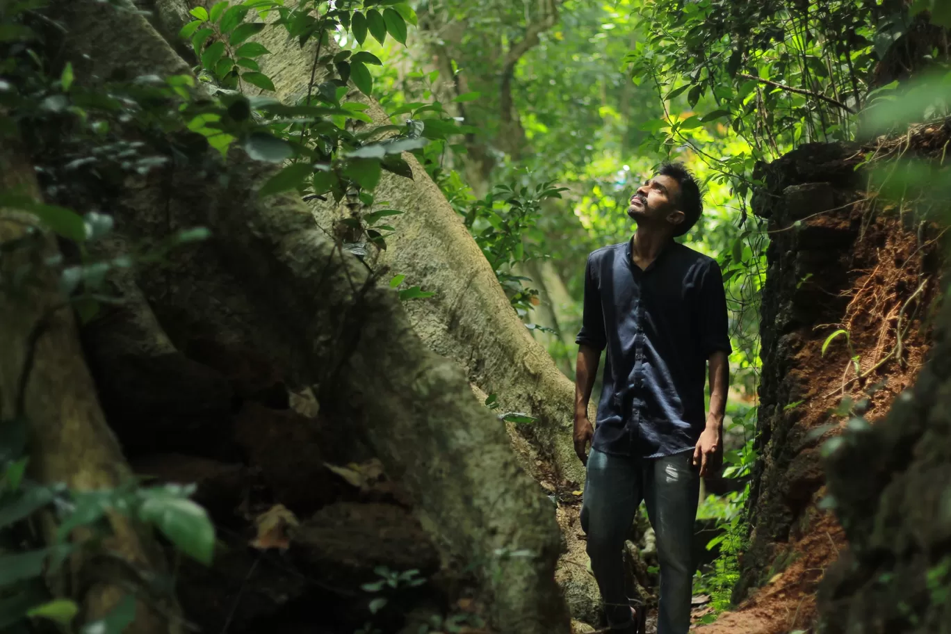 Photo of Kochareekkal Caves By jose raphael