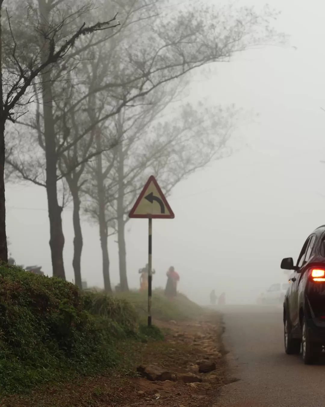 Photo of Ponmudi Hill Station By jose raphael