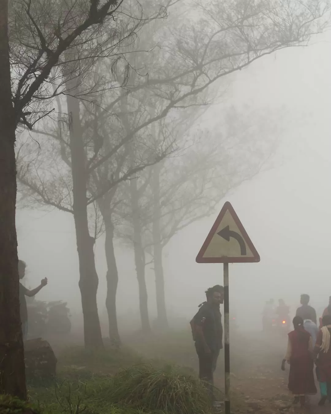 Photo of Ponmudi Hill Station By jose raphael