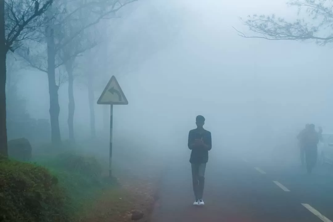 Photo of Ponmudi Hill Station By jose raphael