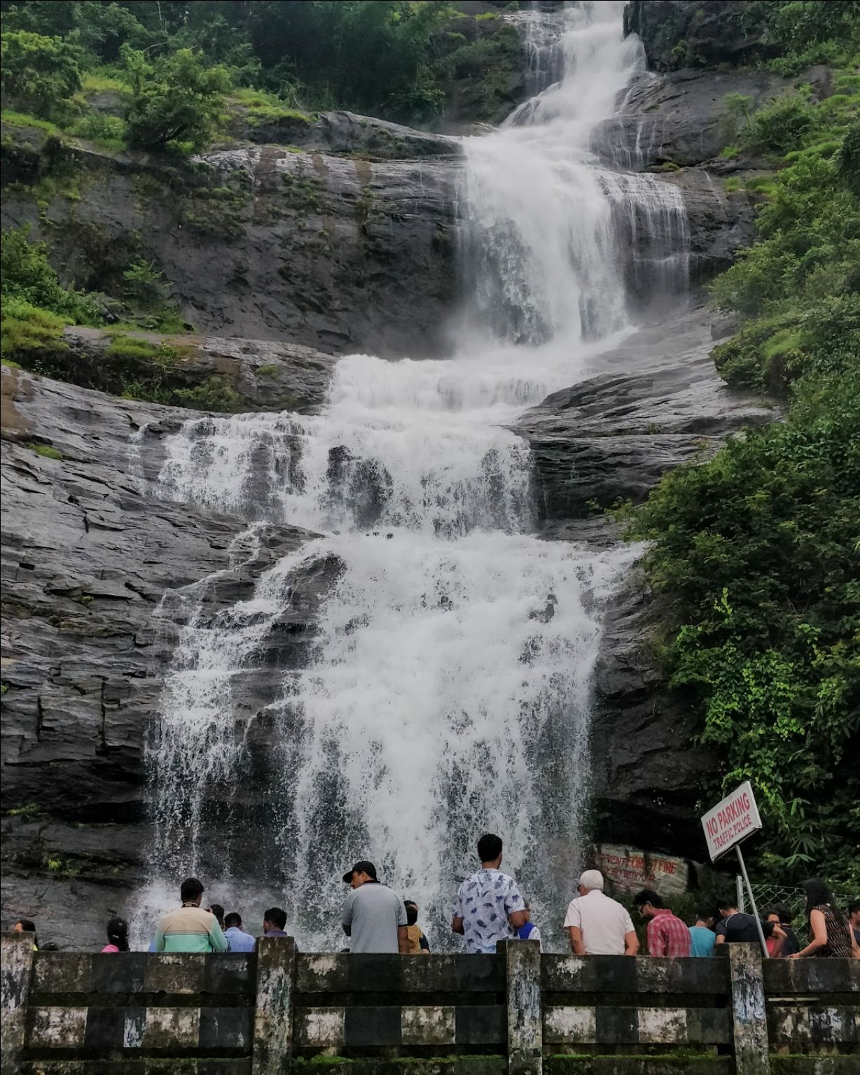 Photo of Cheeyappara Waterfalls By jose raphael
