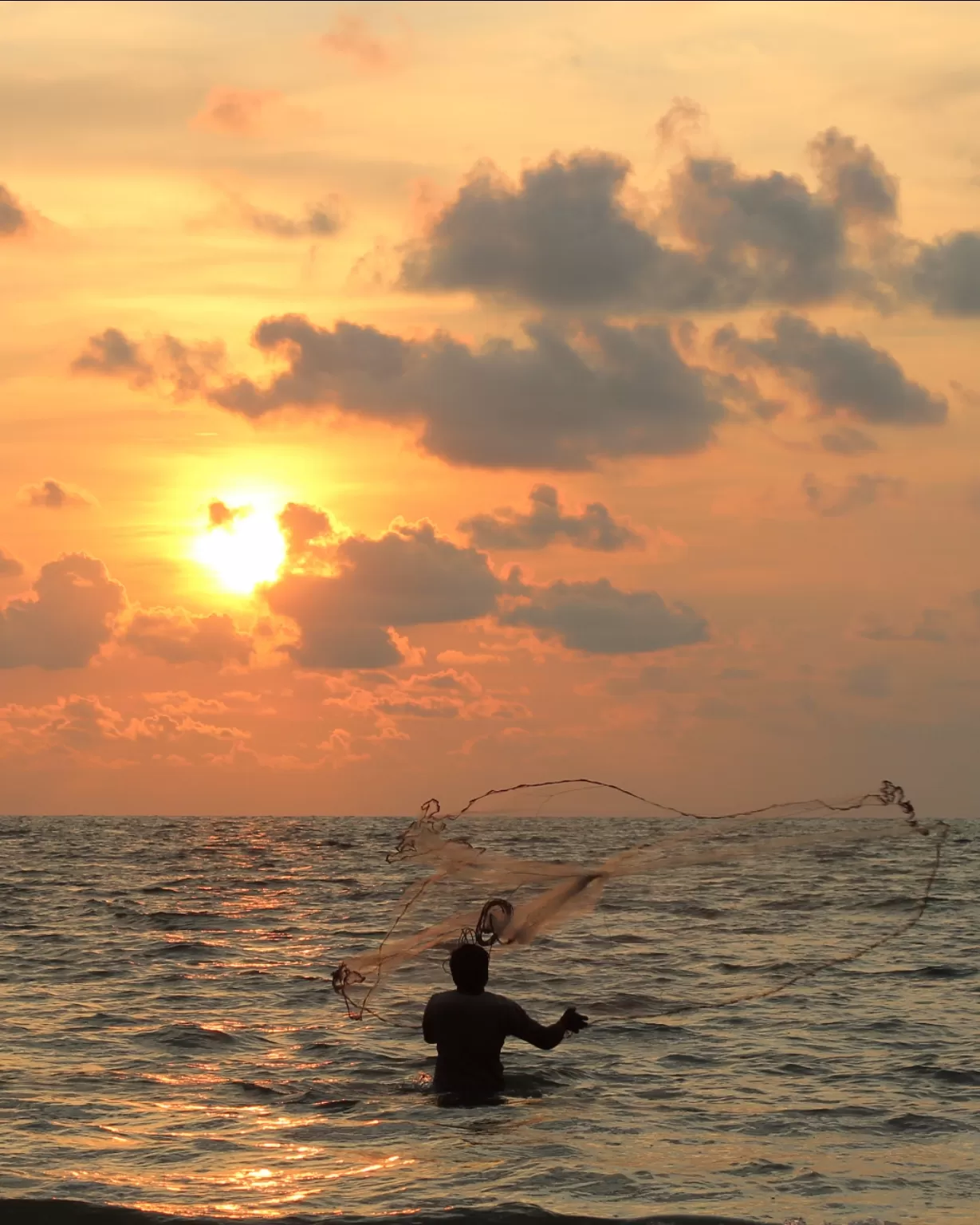 Photo of Marari Beach By jose raphael