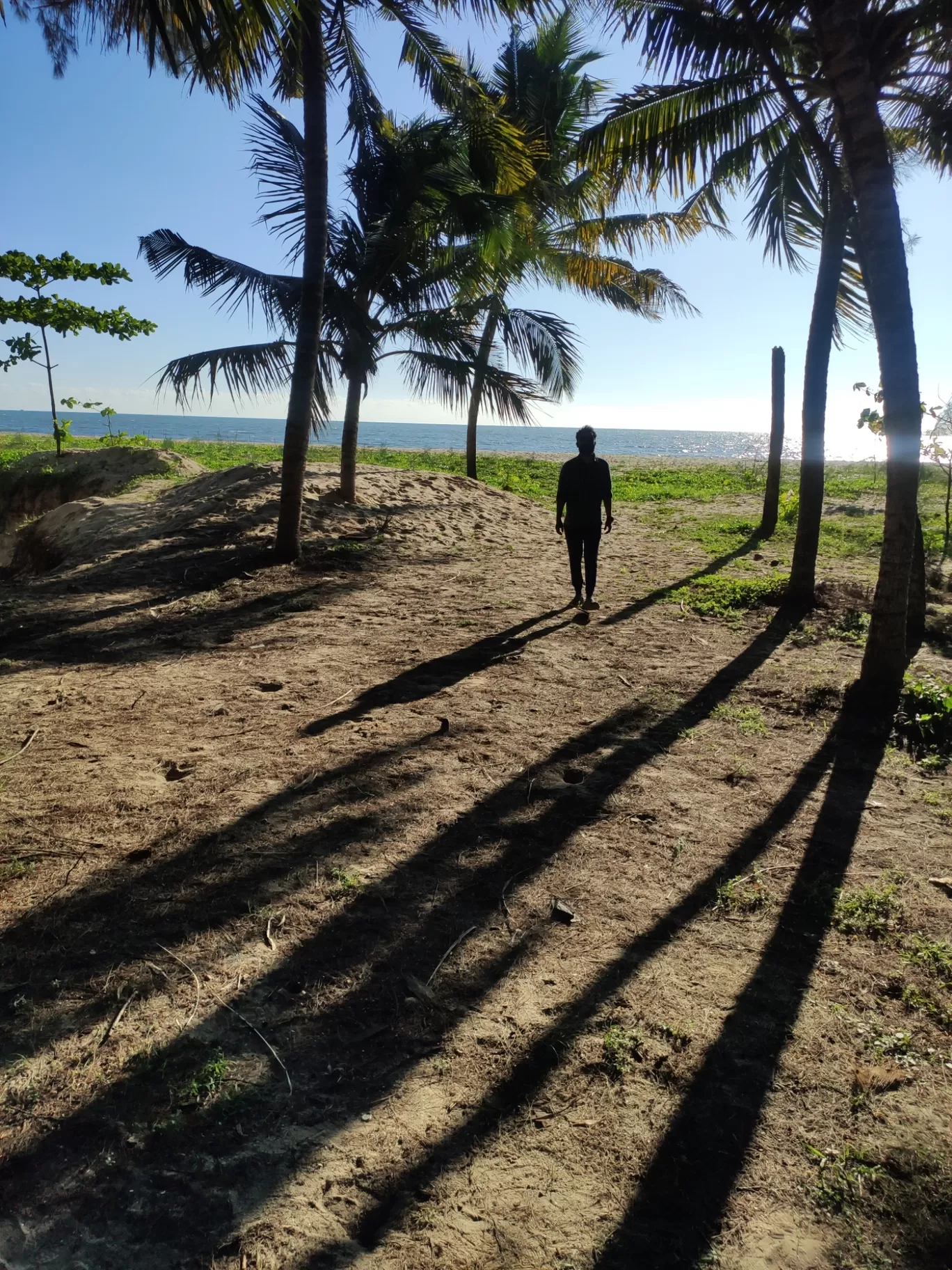 Photo of Marari beach By jose raphael