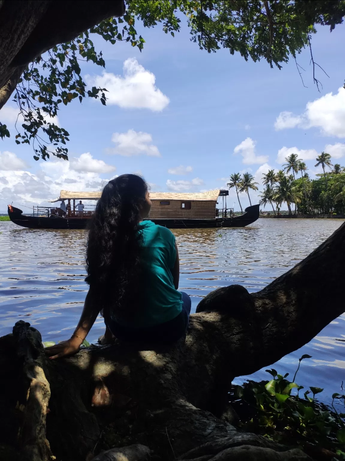 Photo of Kumarakom Bird Sanctuary By jose raphael