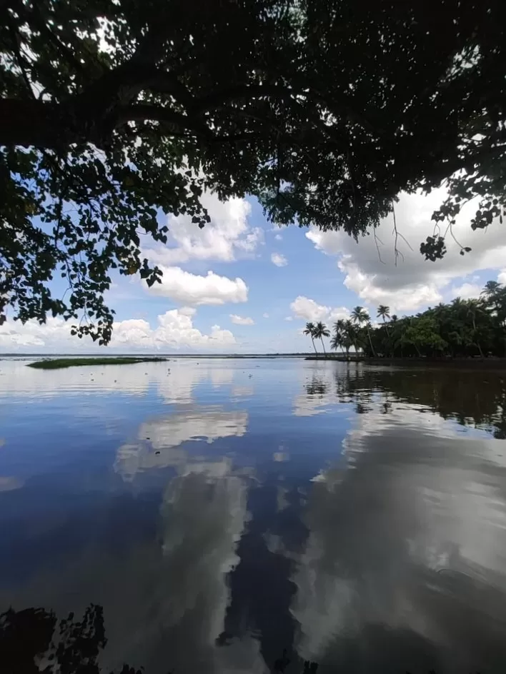 Photo of Kumarakom Bird Sanctuary By jose raphael