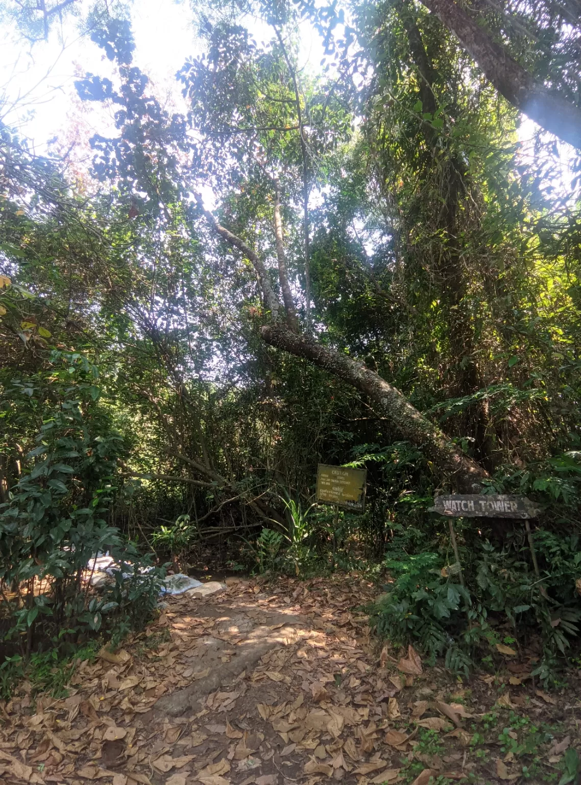 Photo of Kumarakom Bird Sanctuary By jose raphael