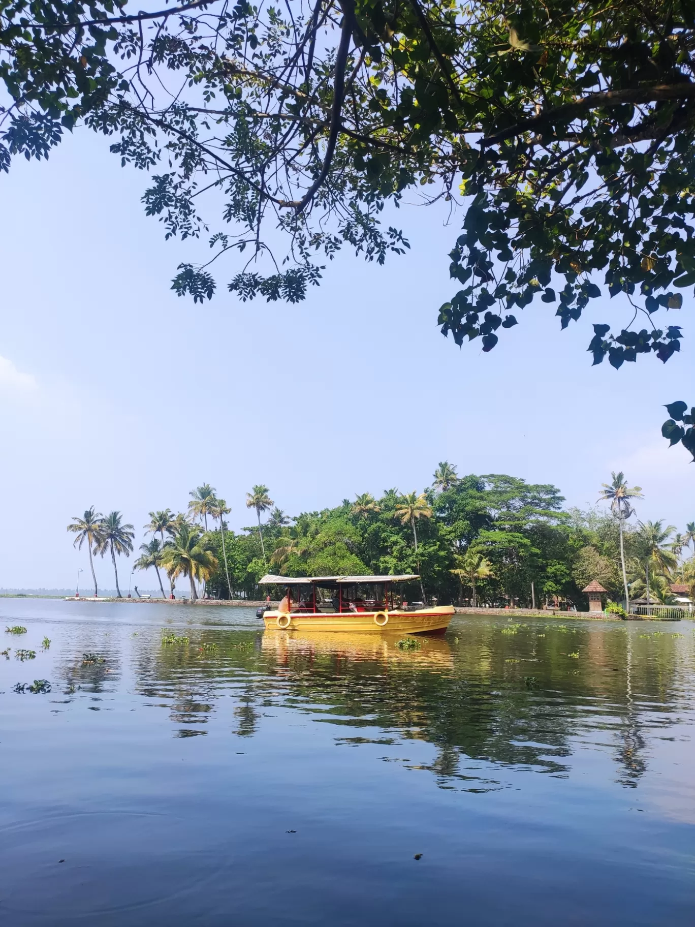 Photo of Kumarakom Bird Sanctuary By jose raphael