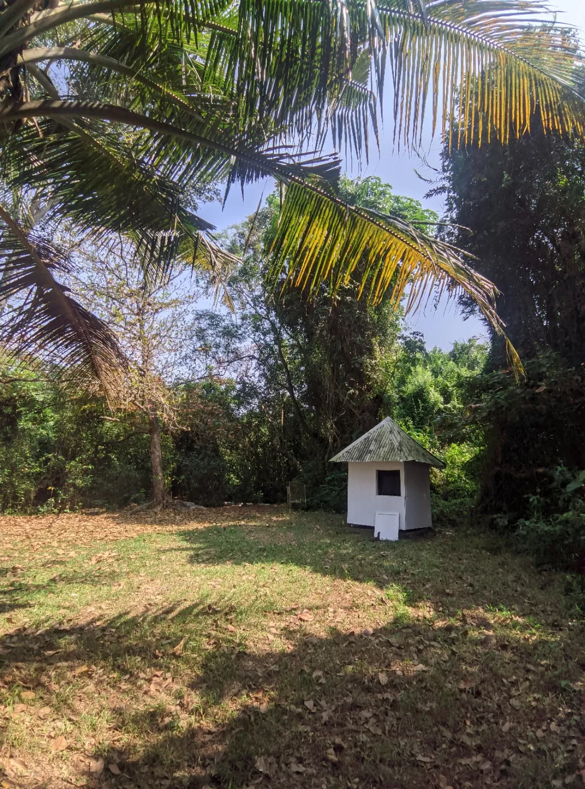 Photo of Kumarakom Bird Sanctuary By jose raphael