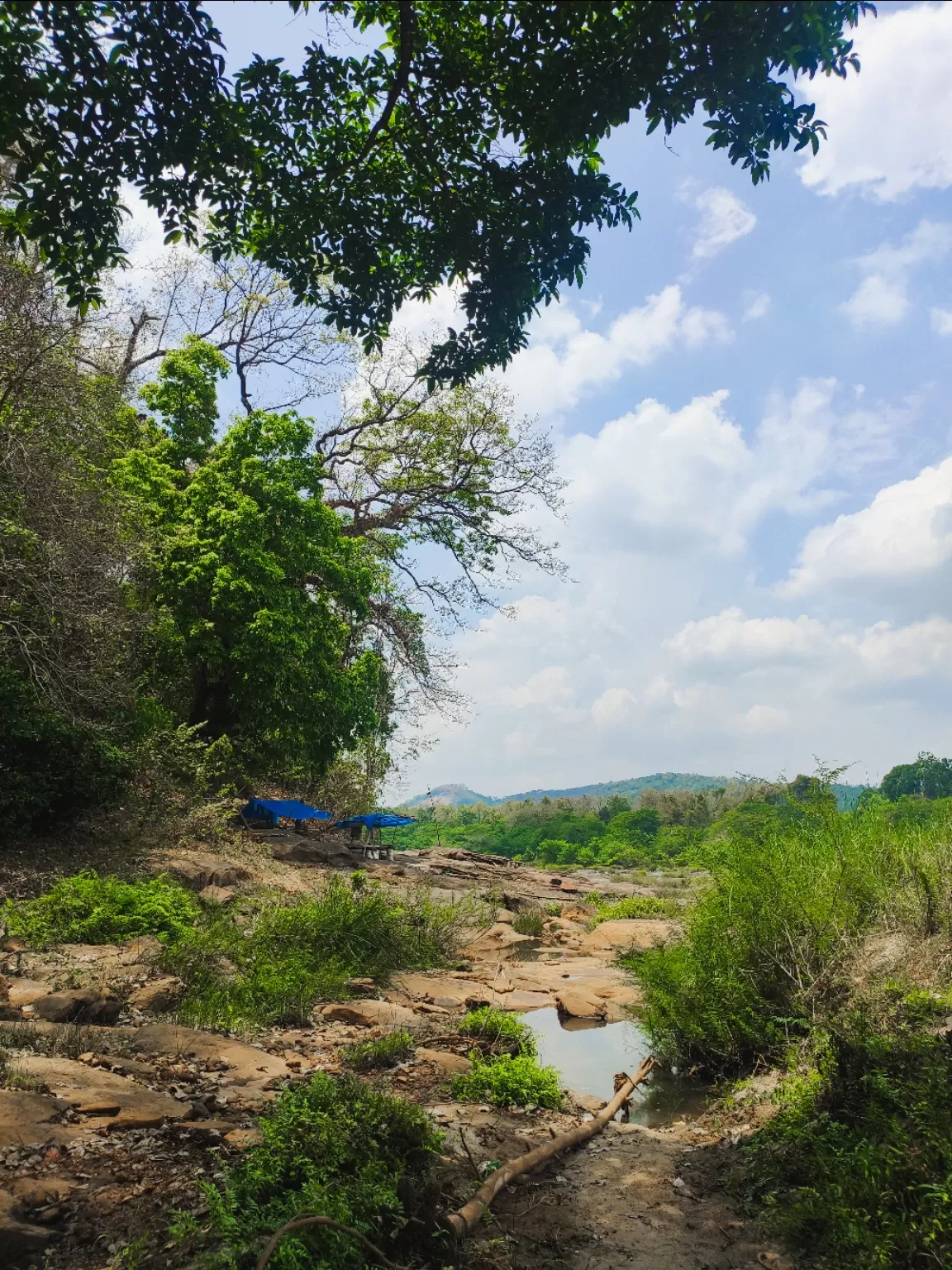 Photo of Panamkuzhy Eco Tourism Center By jose raphael