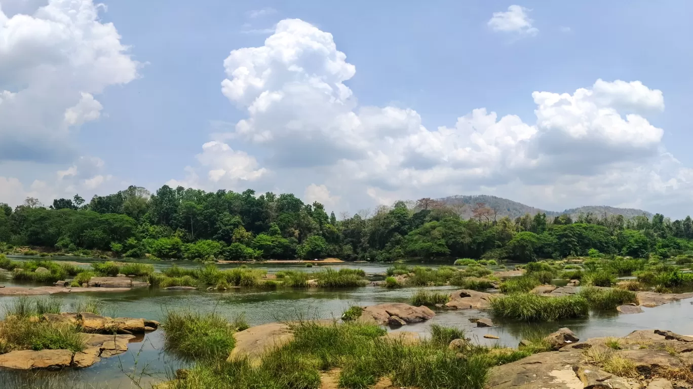 Photo of Panamkuzhy Eco Tourism Center By jose raphael