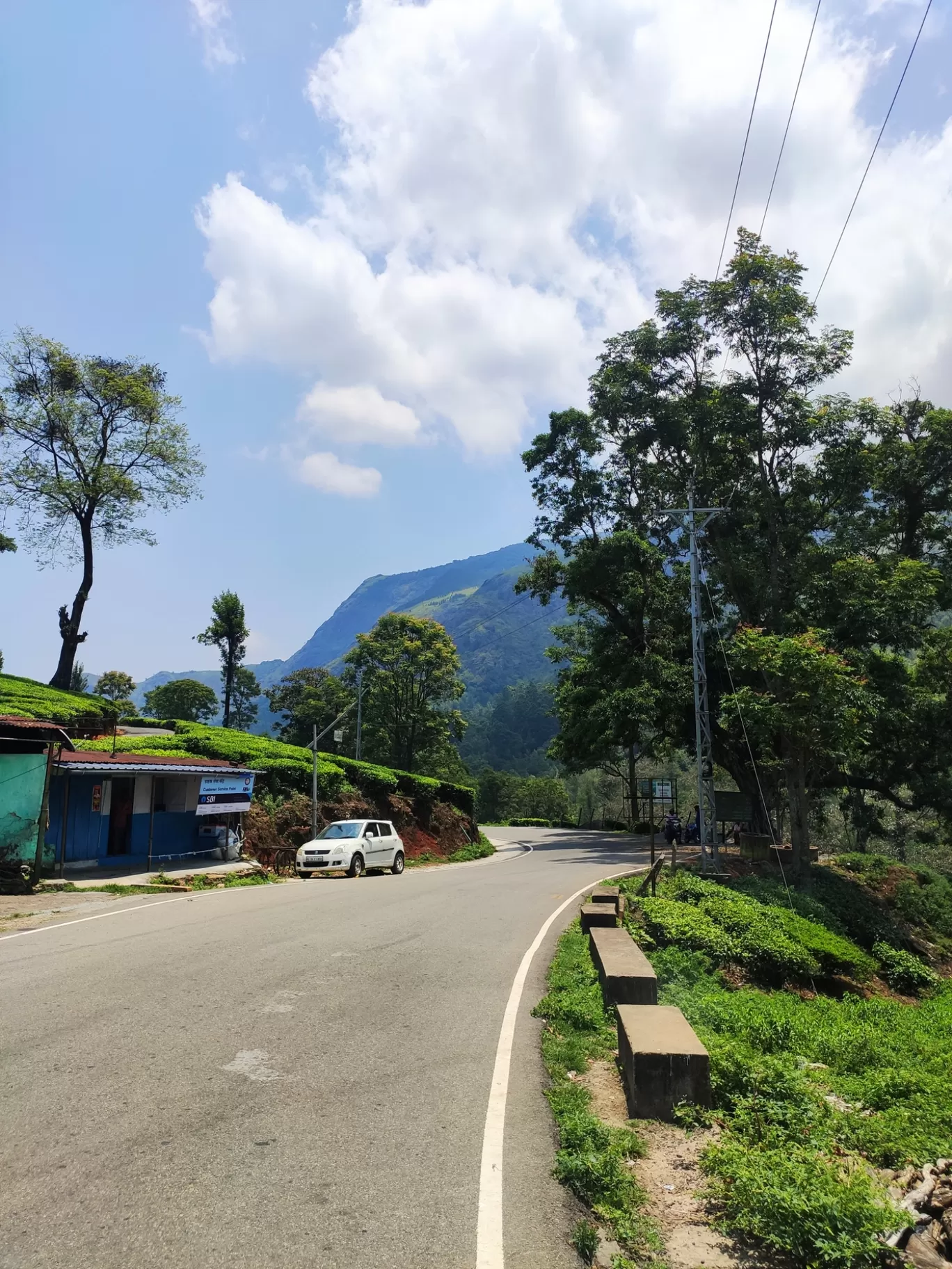 Photo of Munnar By jose raphael