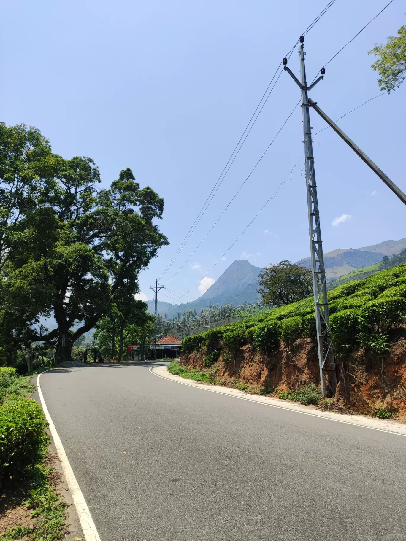 Photo of Munnar By jose raphael