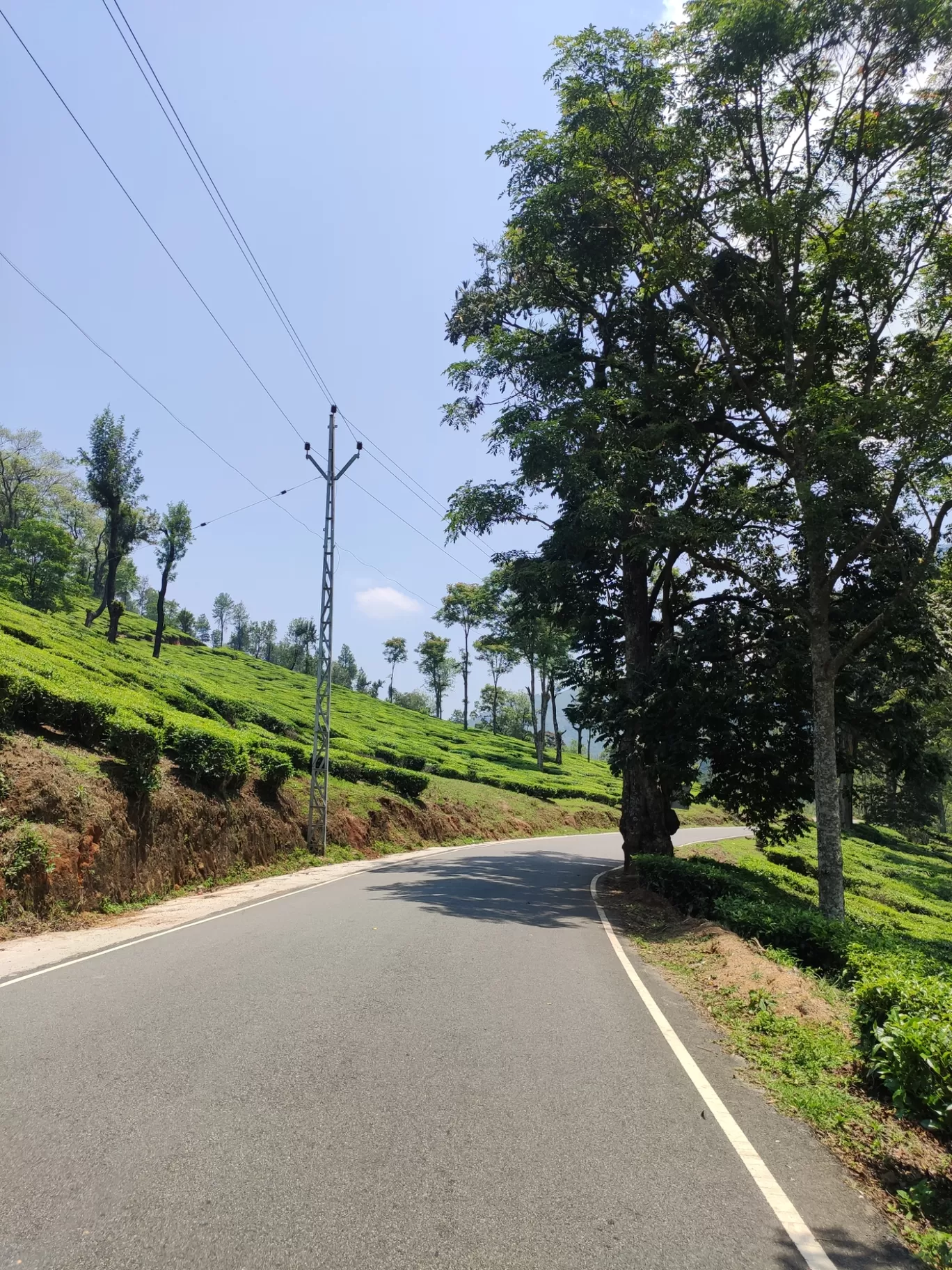 Photo of Munnar By jose raphael