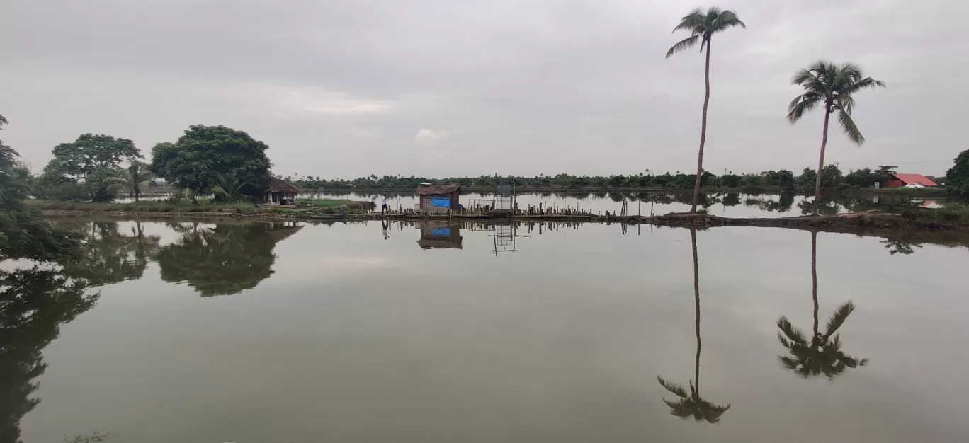 Photo of Kadamakkudy By jose raphael