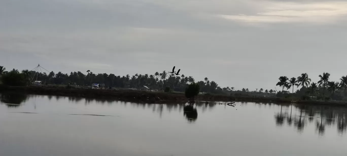 Photo of Kadamakkudy By jose raphael