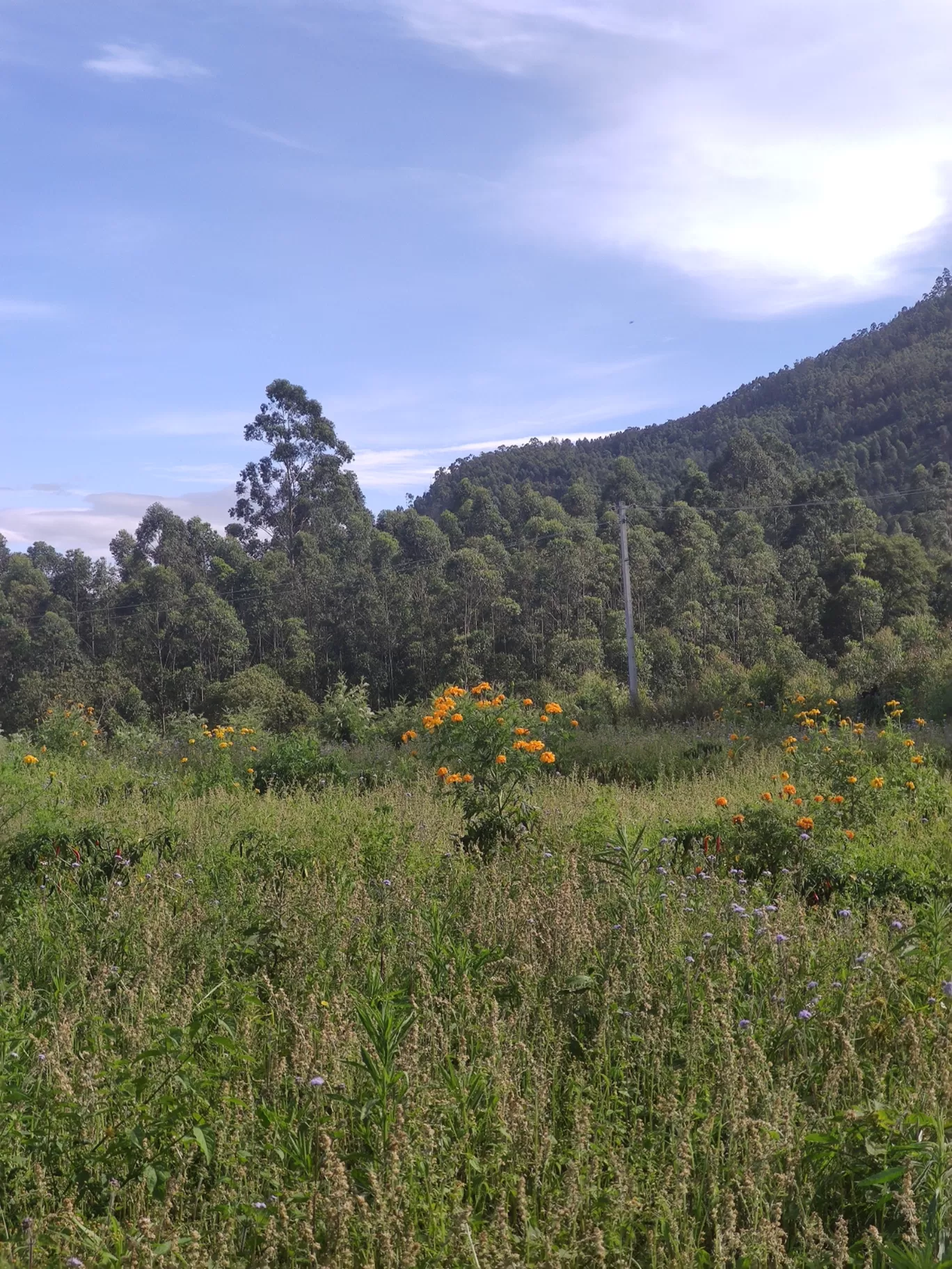 Photo of Kanthalloor By jose raphael