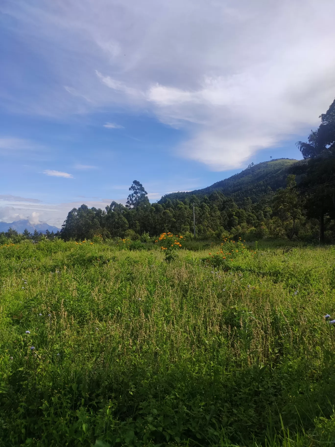 Photo of Kanthalloor By jose raphael