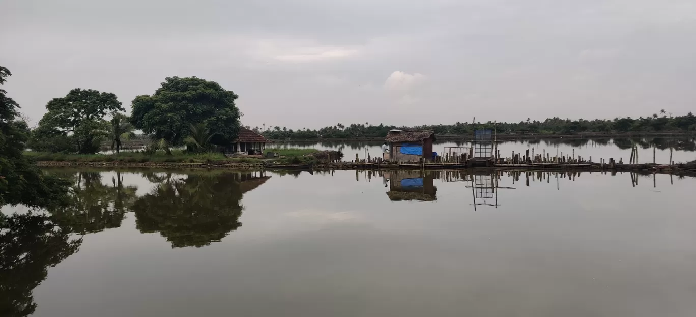 Photo of Kadamakkudy By jose raphael